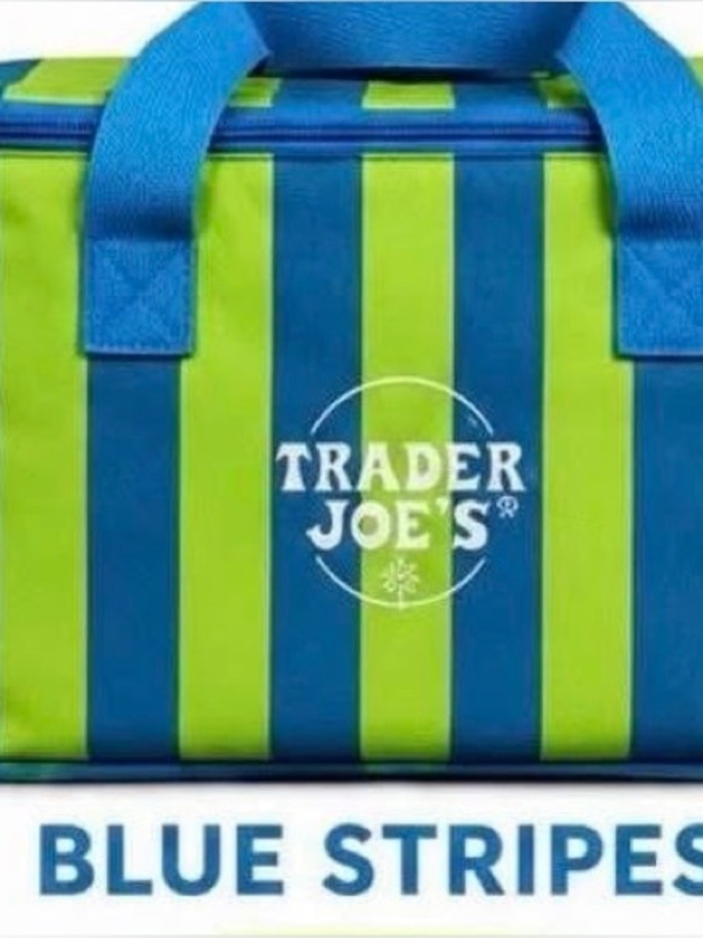 Trader Joe's Green and Blue Striped Mini Insulted Tote Embroidered Nee Release